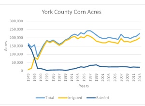 York Corn Acres
